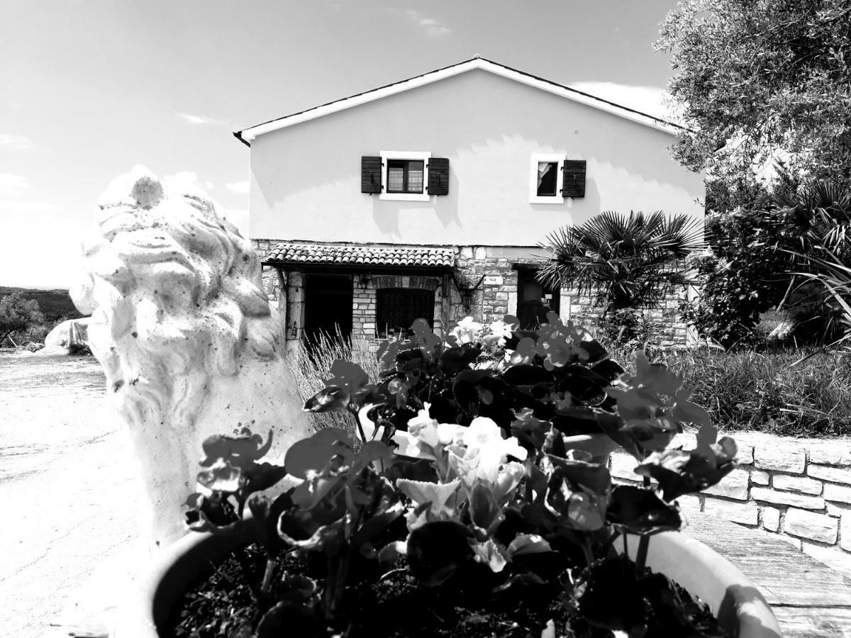 Rooms Agroturizam Romano Buje Dış mekan fotoğraf